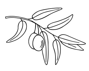 Olive branch, hand-drawn doodle sketch. Twig with leaves and fruit outline. Simple minimalistic design. Food menu or cosmetic concept decoration. Isolated. Vector illustration