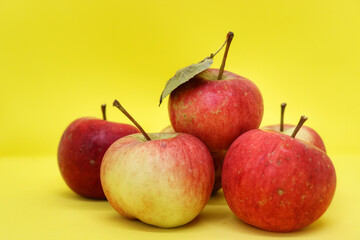 Lots of juicy and ripe apples