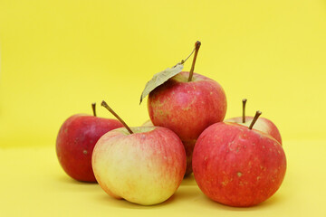 Lots of juicy and ripe apples