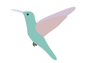 hummingbird and flower