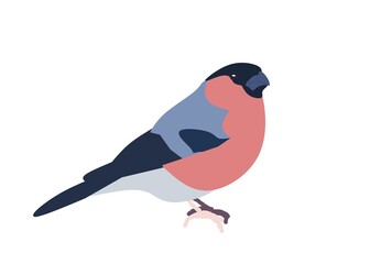 illustration of a bird