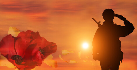Poppy Day , Remembrance Day . Concept - patriotism, honor
