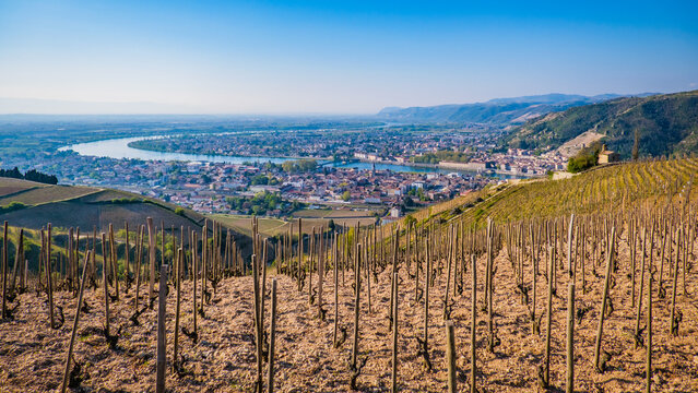 View on the Chapoutier's vineyards of Tain l'Hermitage, with the city and the Rhone river valley  and the mountains of Ardeche in the background