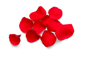 Fototapeta na wymiar Many red rose petals on white background, top view