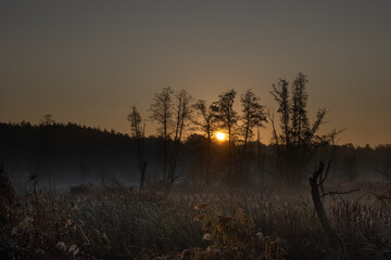 Autumn, misty morning and sunrise in the countryside © Pawel 