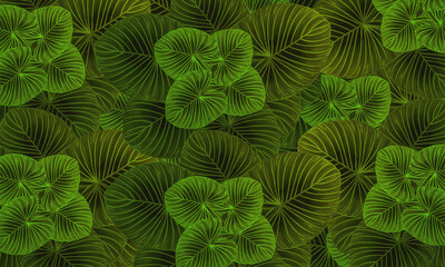 Naklejka na ściany i meble Green tropical leaves pattern abstract spring nature wallpaper design background