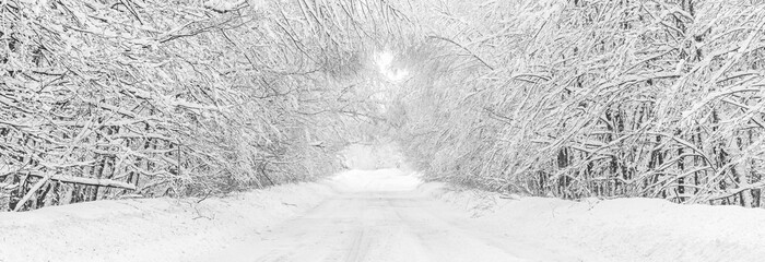 Road trip concept. Winter road in snowy forest. Daytime. Banner
