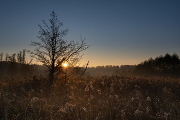 Autumn, misty morning and sunrise in the countryside © Pawel 