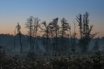 Autumn, misty morning and sunrise in the countryside © Pawel 