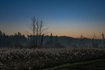 Autumn, misty morning and sunrise in the countryside © Pawel 
