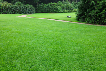 Obraz premium Beautiful freshly cut green lawn in park