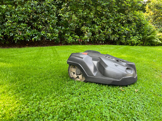 Modern robot lawn mower on green grass in garden - obrazy, fototapety, plakaty