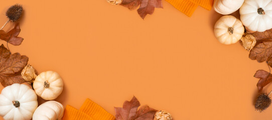 Autumn banner with frame from pumpkins and autumn leaves. Autumn theme mock up for text