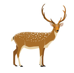 Cute deer. Minimalistic illustration. Emblem. Icon. Forest animal. The deer is standing. Reindeer.