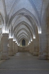 arches of a cathedral 