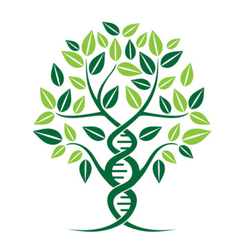 DNA vector logo design. DNA tree concept with green leaves for medical, research, lab