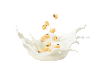 soybeans falling into soy milk spalsh isolated on white background.