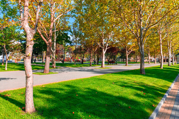 bright sunny day in autumn city park, green lawn, and yellow leaves, street