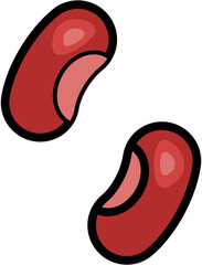 fruit and vegetable illustration