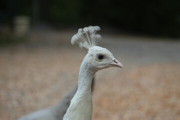 vacances en France, mer et montagne