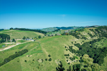Fototapeta na wymiar Rural landscape with farmland pasture in hilly country of Hawke's Bay. Iconic New Zealand