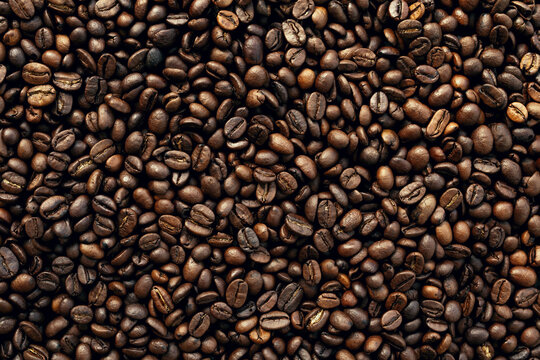 Photo of coffee beans