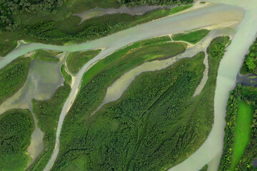 Aerial view taken by a drone showing wetlands with large forests and sediment rivers - 533872176