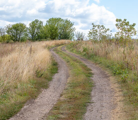 Fototapeta na wymiar Dirt road in nature in summer.