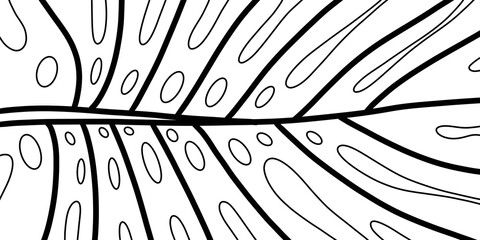 Artistic simple illustration-abstract monochrome (black and white) in the form of a monstera leaf (lines drawn by hand) on a white background © Soap Dish