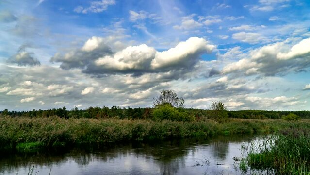 On the Narew River