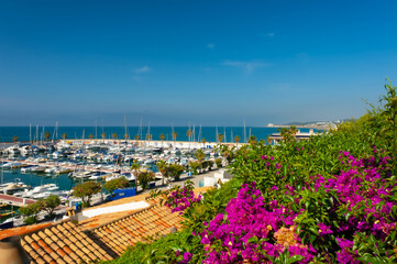 Fototapete bei efototapeten.de bestellen   