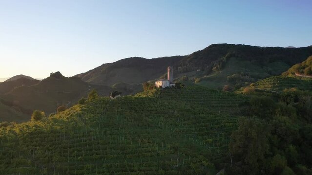 Valdobbiadene, hills and vineyards along the Prosecco road. Italy