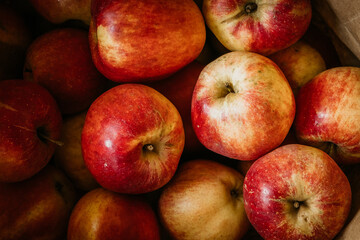 Close-up of red apple background. Premium colorful abstract background with dynamic shadow on background, consisting of apples, fruit, gradient color, artistic texture, epic background, beautiful