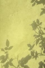 Abstract rose leaves shadows on pastel yellow concrete wall texture with roughness and...