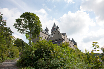 Fototapeta premium castle in the woods