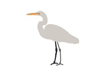 illustration of a crane