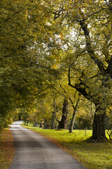Naklejka premium herbstspiergang