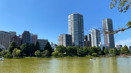 Fototapeta premium Moss green swamp in Ikebukuro Tokyo with city skyscrapers, year 2022 summer