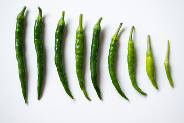 Grüne Chilishoten, frischer Chili, Ernte,