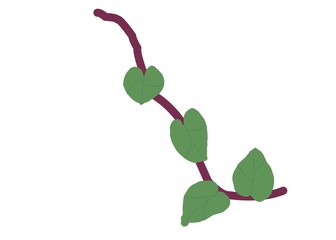 red and green plant