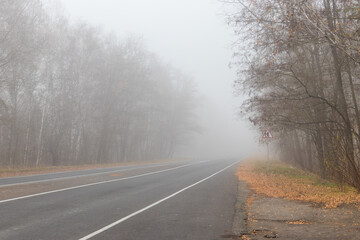 Fototapeta premium Foggy asphalt road through a forest at autumn