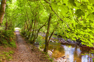 A stone paved section of The Coleridge Way beside the East Lyn River on Exmoor National Park...