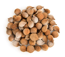 Terminalia bellirica or Beleric Myrobalan fruits isolated on white background.