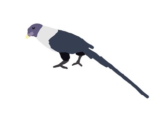 bird on a branch