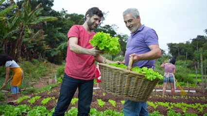 Father and son standing at small local farm holding organic lettuces. Family dad and adult son smiling in urban agriculture