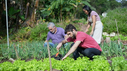 Community urban farmers at small local organic farm. Group of people growing food taking care of soil. Sustainable growth concept
