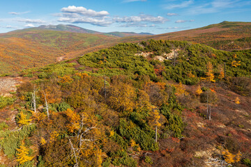 Schöne herbstliche Berglandschaft. Luftaufnahme von der Spitze des Hügels. Reisen und Wandern in der Wildnis. Erstaunliche nördliche Natur der Region Magadan und Sibiriens. Fernen Osten Russlands. Herbstsaison © Andrei Stepanov
