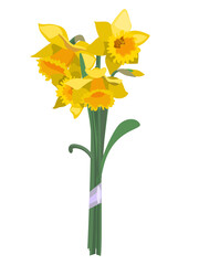 Bouquet of yellow daffodils isolated on white