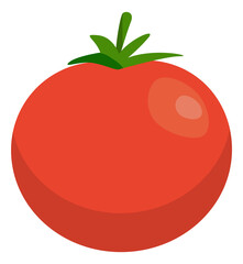 Tomato icon. Fresh ripe tasty cooking ingredient