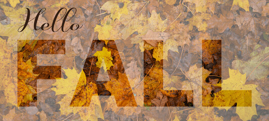 Hello FALL text background texture pattern - Many colorful autumnal fallen autumn leaves, top view